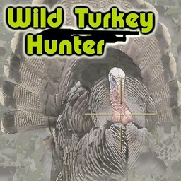 Wild Hunter VR