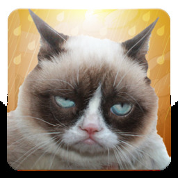 Grumpy Gaffer