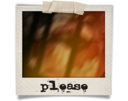 Please! Confess first