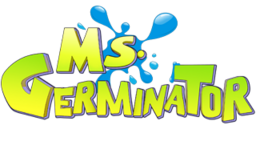 Flan's MS