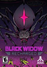 The Black Knight Chronicles - The Widow without Time