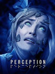 Mysteries of Perception