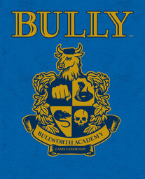 Bully Ball Soccer