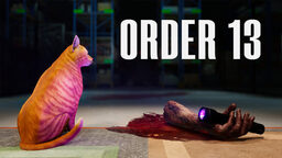ORDER 13