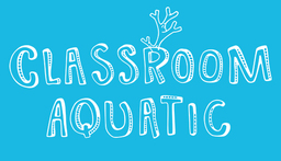Loop:ClassRoom