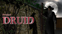 Plot of the Druid