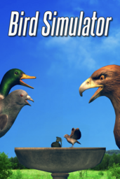 Bird Simulator 24