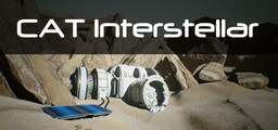 Interstellar Pioneering