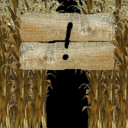 The Corn Maze