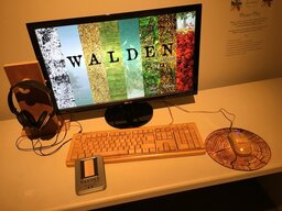The Memory In Walden Pond