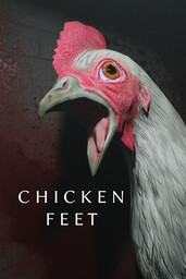 Chicken Game