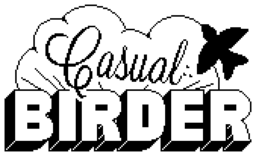 Casual Sport Series: Hockey
